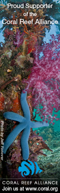coral reef alliance