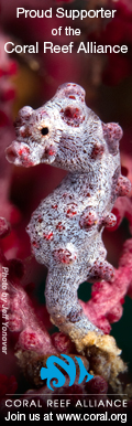 coral reef alliance