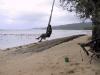 Waitabu fun!