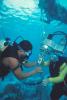Mooring Buoy Instalation Three
