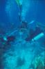 Mooring Buoy Instalation Five