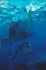 Mooring Buoy Instalation One