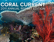 2011 Annual Report