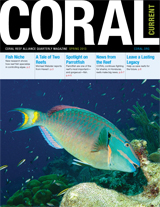 Breaking News from CORAL's Project Sites