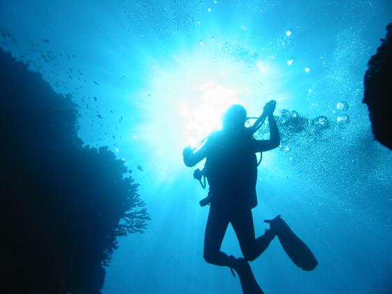 Diving in Fiji