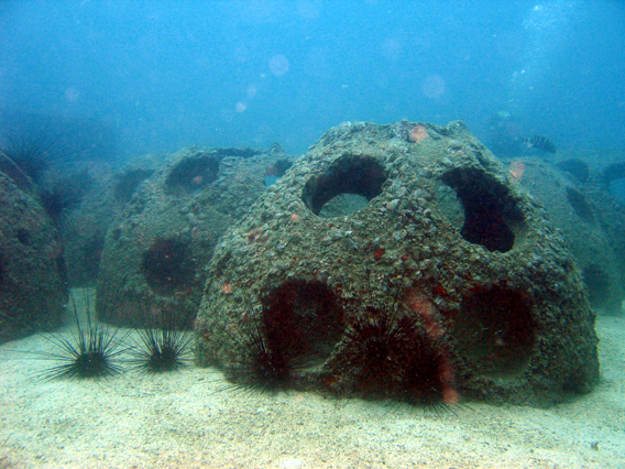 coral reef wallpaper. Reef balls