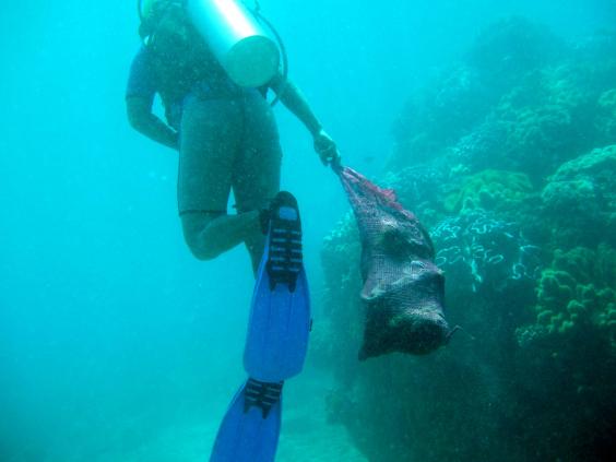 Dive ranger claning reef