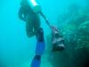 Dive ranger claning reef
