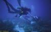 Scuba diving