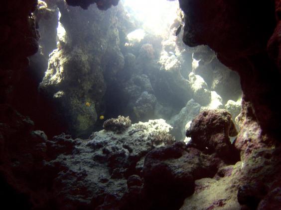 Reefscape