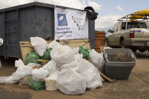 Collected debris