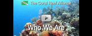 CORAL Video