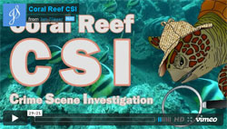 Coral Reef CSI Video
