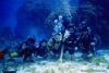 [b]2002 2nd Place[/b]

Volunteers from [url=http://www.psubmarinas.com/about.html]Prestaciones Submarinos[/url] helped the Cozu