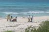 The Parque Nacional Marino Arrecifes de Cozumel in Mexico organized the cleanup of 10 of the park's beaches.