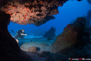 Diver by Jeremy A.       Ellis