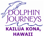 Dolphin Journeys Logo Dolphin Journeys Logo