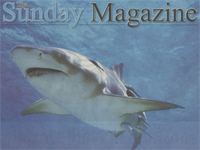 Click to download PDF