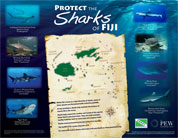 Fiji Shark Campaign Poster