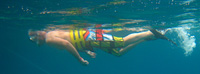 Snorkeler in Hawaii