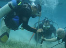 Hol Chan Mooring Installation