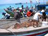 [b]2003 3rd Place[/b]

In Khanh Hoa Province of Vietnam, several community members joined together to remove more than 1,700 Cr