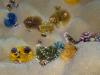 CHRISTMAS TREE WORMS