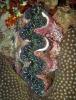 GIANT CLAM