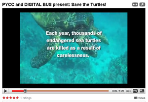 Save the Turtles video