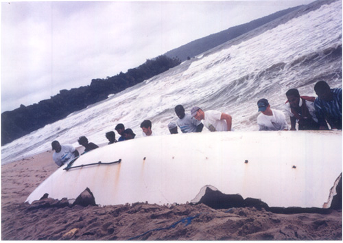"No trash for the turtles" - Following the sand turtle competition, Nature Seekers organized the clean up of one of th