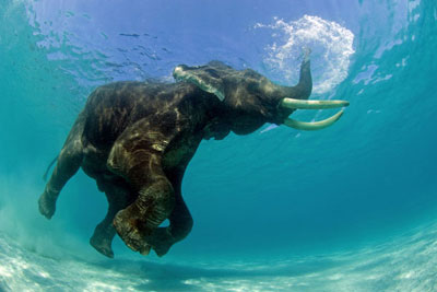 Rajan Snorkeling
