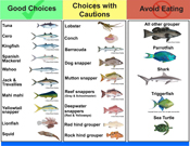 Seafood Guide