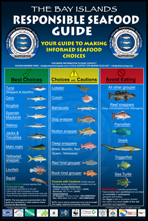 Bay Islands Seafood Guide poster