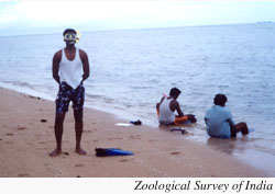 ZoolsurveyIndiasnorkele