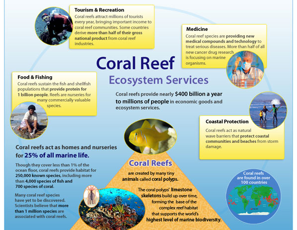 Coral Reef Threats » What is threatening the survival of the planet's coral 
