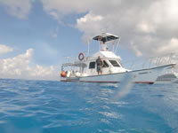 Cozumel workshop