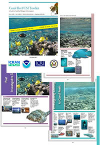 Toolkit section covers
