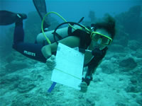Diver