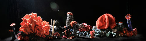 Hyperbolic Crochet Coral Reef