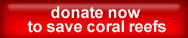 Donate button