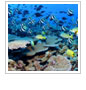 Help Pass Clean Water Legislation!