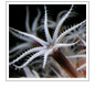 Photo Contest Winner Announced!