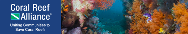 Reef Scene