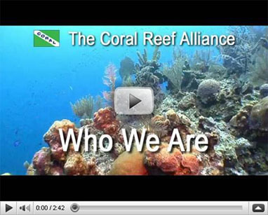Watch Our New Videos!