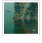 Oil Spill Shows the Danger of Offshore Drilling