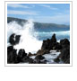 Obama Administration Launches New Ocean Policy
