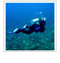 CORAL Leads Sylvia Earle to Cordelia Banks