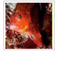 Photo Contest Winner Announced!