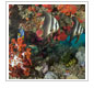 Reef Scene