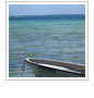Celebrate World Oceans Day on June 8